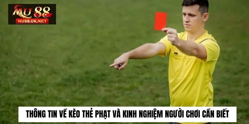 kèo thẻ phạt