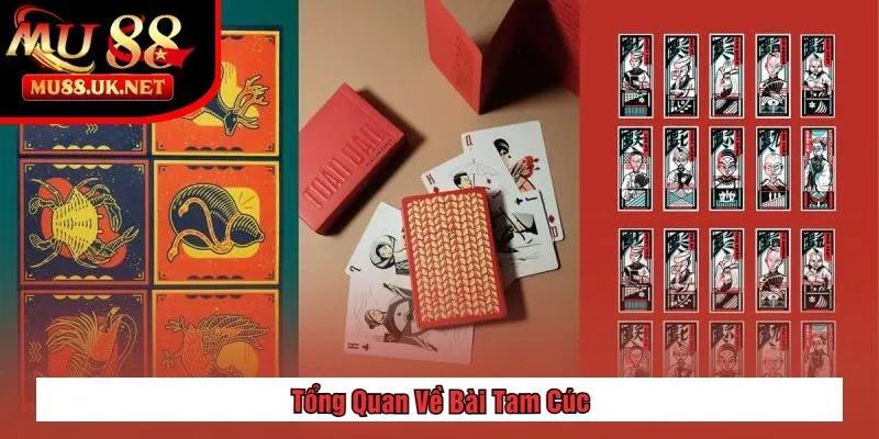 Tổng Quan Về Bài Tam Cúc
