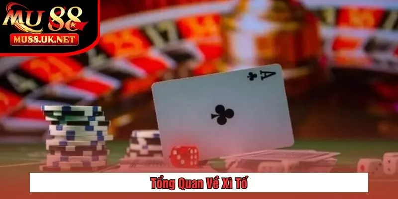 Tổng Quan Về Xì Tố